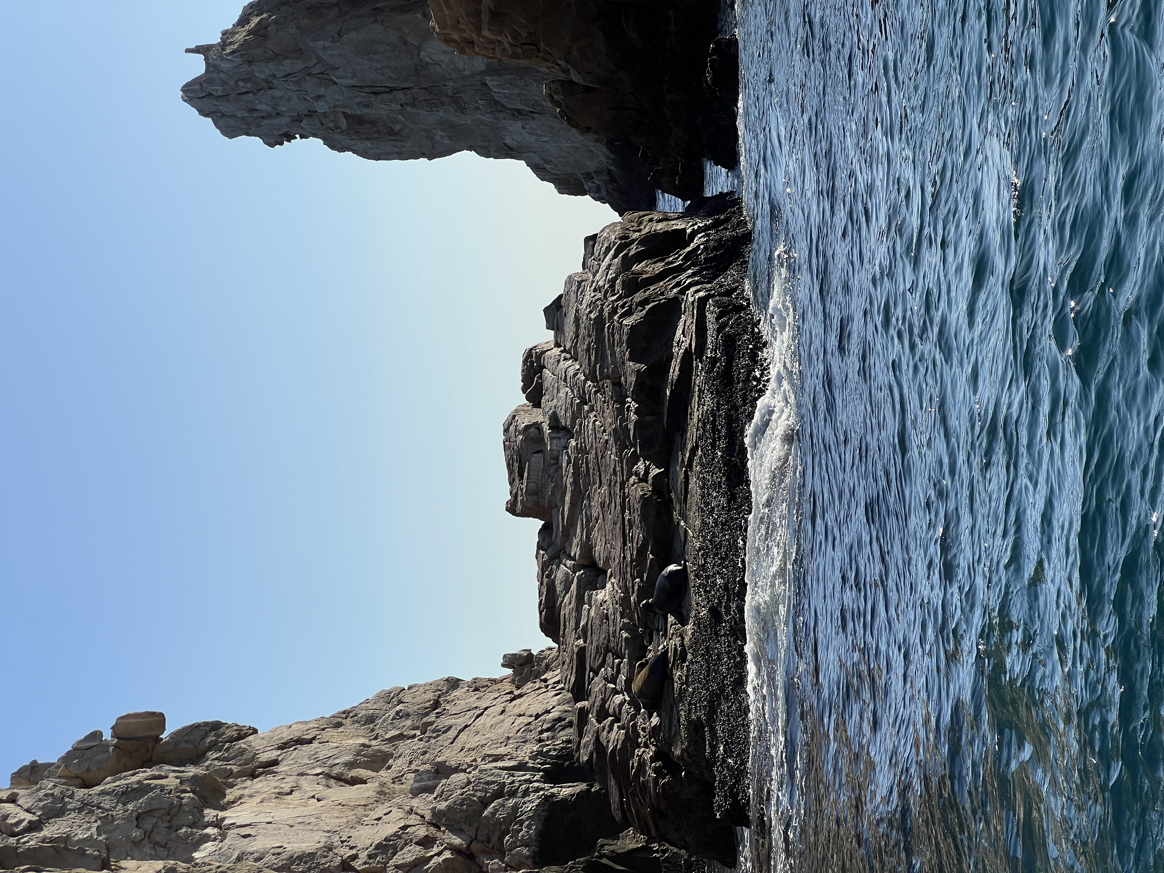 ./2024/13 - Cabo/IMG_4646.jpg